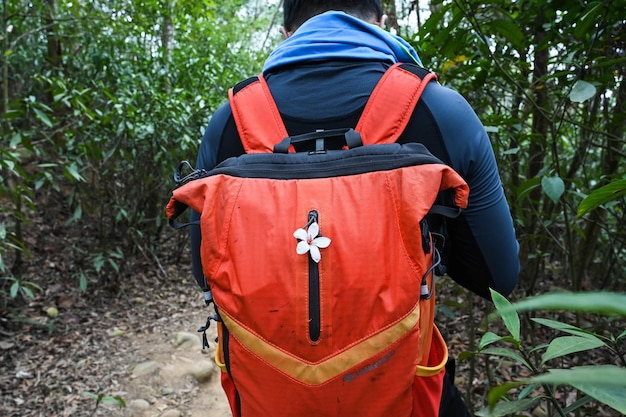 Una mochila con una flor lleva una camisa azul.