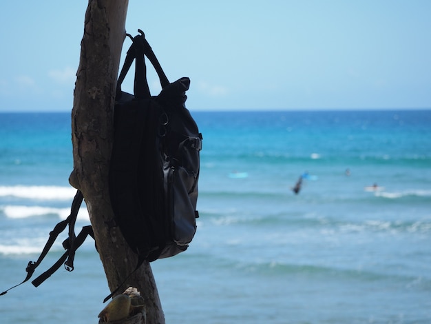 La mochila negra cuelga de un árbol contra el océano azul.