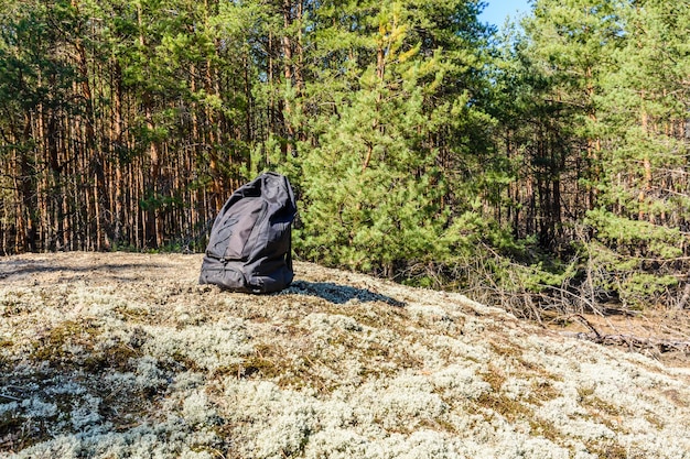 Mochila sobre un terreno en un bosque de coníferas