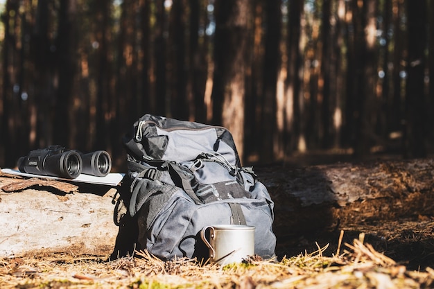 Foto mochila turística, sombrero, binoculares y un mapa en un tronco en el bosque