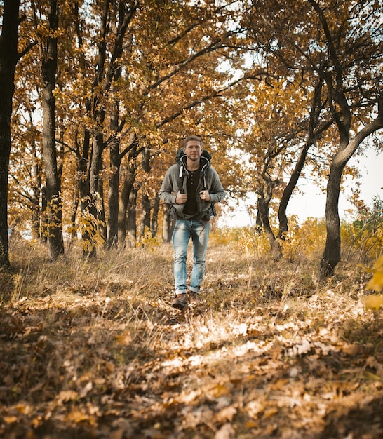 Mochileiro caminha na floresta de outono