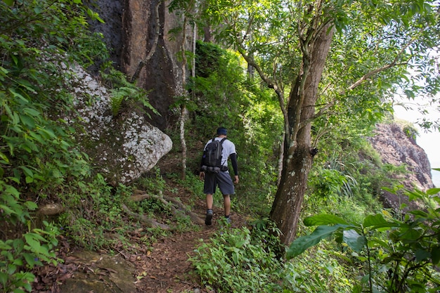 Un mochilero viaja solo, con mochila en las montañas