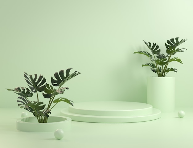 Mock Up Green Podium Steps und Monstera Pflanzen 3D Render