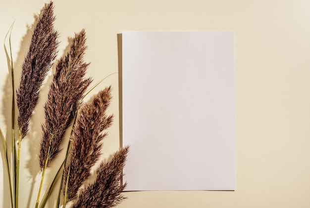 Mock-up Leeres vertikales Papier A4-Einladungsmodell flach legen Trockenes Gras Sonnenlicht Beige Tischhintergrund Leeres weißes Blatt Papier auf weißem Hintergrund