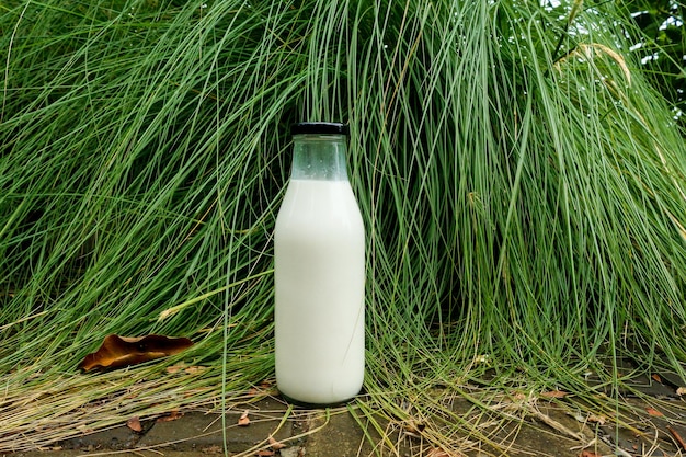 Mockup de Botella de Leche con Fondo Natural