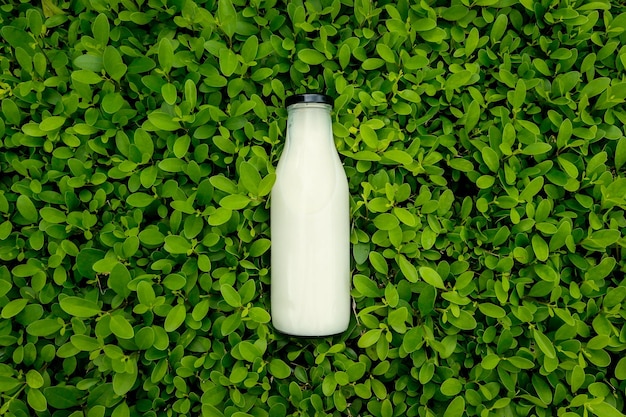 Mockup de botella orgánica con fondo verde