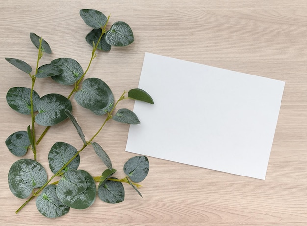 Mockup eines Eukalyptuszweigs auf einem hölzernen Hintergrund und ein Blatt weißes Papier Platz für Text