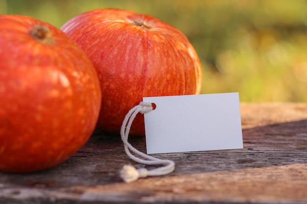 Mockup-Tag und Kürbis. Platz für Text. Thanksgiving- und Halloween-Postkartenvorlage