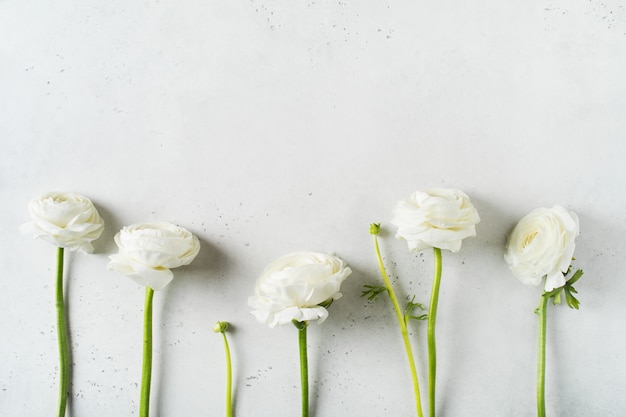 Moda blanca, fondo plano de flores para el día de la madre, cumpleaños, semana santa y boda.