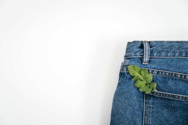 Moda sustentável denim economia circular roupas ecologicamente corretas, planta de folha verde em denim azul