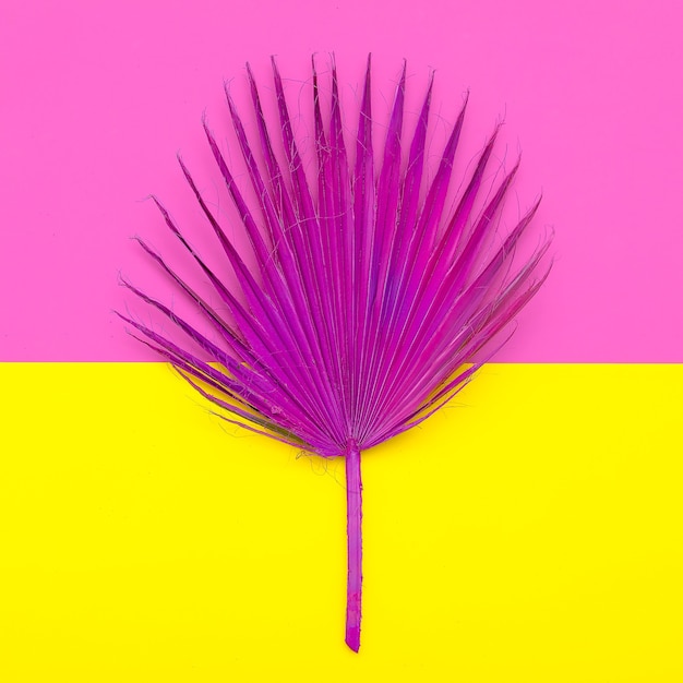 Mode Palmblatt. Rosa Farbe. Minimales Modedesign