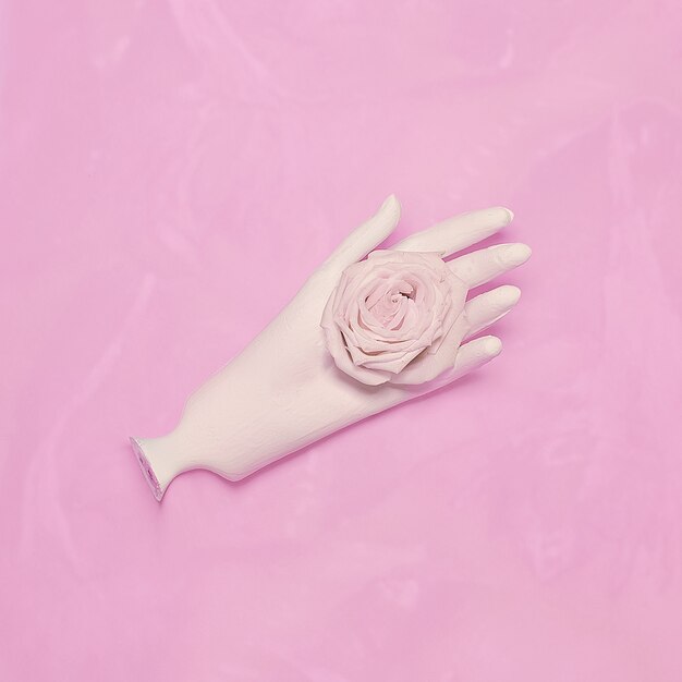 Modekunst des Minimalismus. Handweiße und weiße Rose.