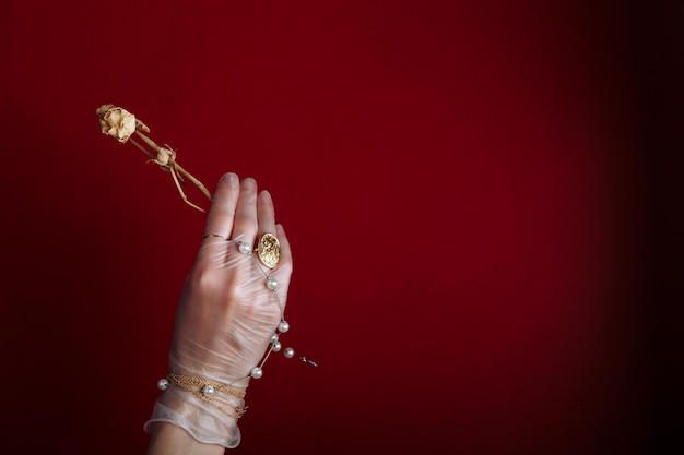 Modekunsthandfrau im Handschuh mit Schmuck im Sommer und Blumen hinter ihrer Hand mit hellem kontrastierendem Make-up Kreative Schönheitsfoto-Handhautpflege