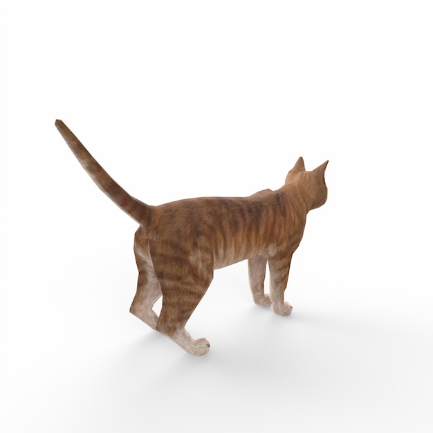 Modelado 3d del gato escocés