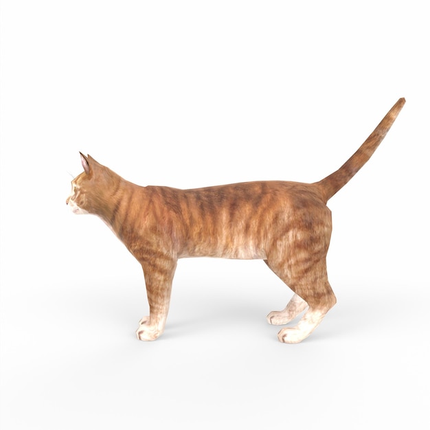Modelagem 3d do gato Scottish Fold
