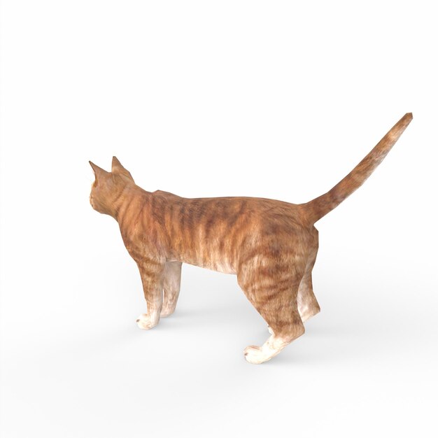 Fundo Criando Um Modelo 3d De Um Gato Scottish Fold Fundo, Gato Bebê, Jogo  De Gato, Gato Engraçado Imagem de plano de fundo para download gratuito