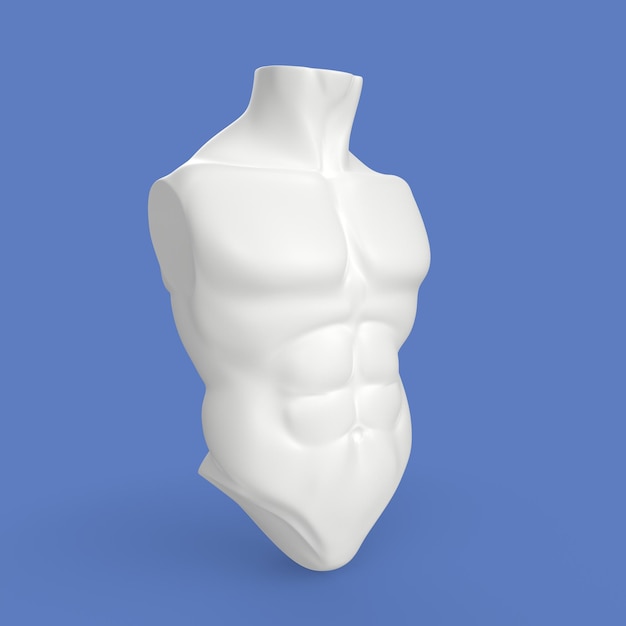 Foto modelagem 3d do torso humano
