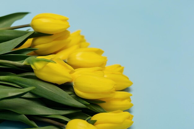 Modell eines Blumenstraußes aus gelben Tulpen auf blauem Hintergrund