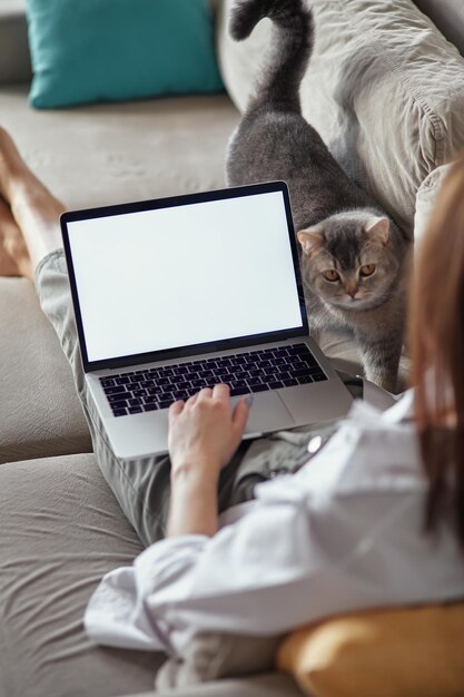 Modell eines Laptops mit weißem Bildschirm, Frau mit Computer und Haustierkatze, die zu Hause auf dem Sofa liegt, Rückansicht