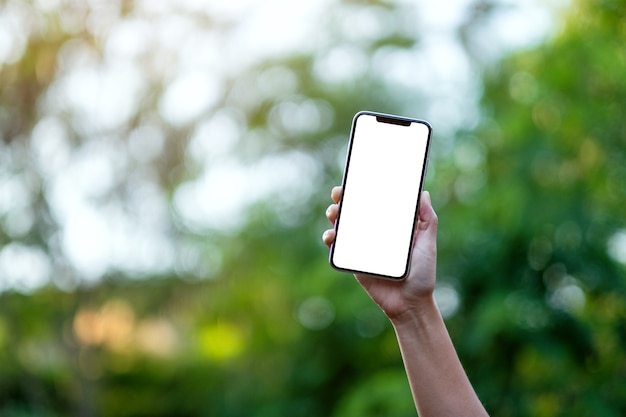 Modellbild einer Hand, die ein schwarzes Mobiltelefon mit leerem Desktop-Bildschirm mit grünem Naturhintergrund hält