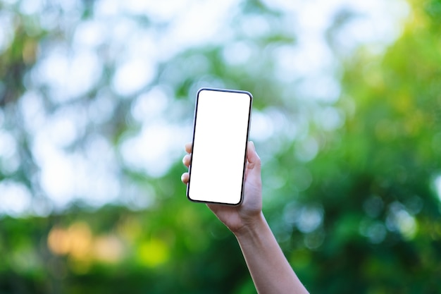 Modellbild einer Hand, die ein schwarzes Mobiltelefon mit leerem Desktop-Bildschirm mit grünem Naturhintergrund hält