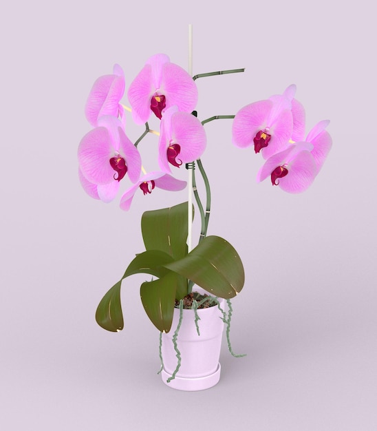 Modelo 3D de orquídea en maceta