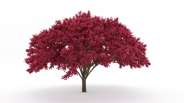 Modelo 3d Árbol con fondo blanco.