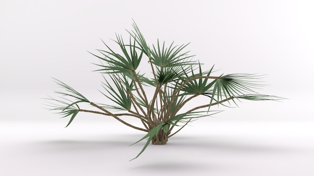 Modelo 3d Árbol con fondo blanco.