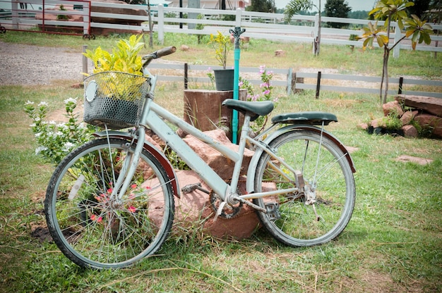 Modelo de una bicicleta vieja equipada con canasta de plantas