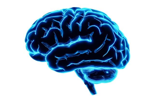 Modelo de cerebro humano de neón brillante aislado sobre fondo blanco Aprendizaje profundo Aprendizaje automático e inteligencia artificial Concepto de pensamiento de tecnología AI Representación 3d