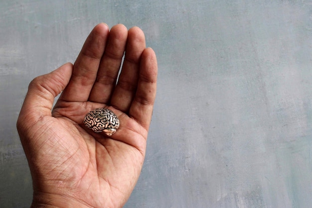 Modelo de cerebro de mano con espacio de copia para texto Concepto médico de salud mental