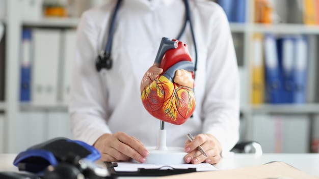 Modelo de corazón de plástico en el hospital revisa tu diagnóstico profesional del corazón