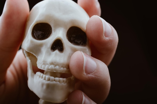 Modelo de cráneo de esqueleto humano en la mano posando para la ciencia de la anatomía médica