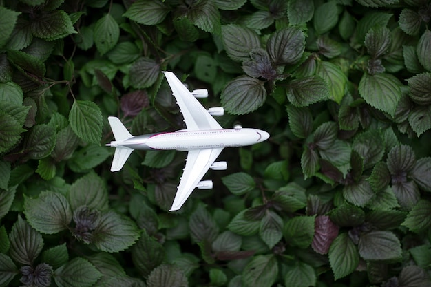 Modelo de avião branco em folhas