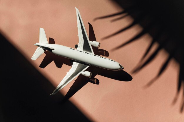 Modelo de avião com conceito de viagem de sombra de ramo de palmeira