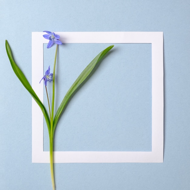 Modelo de banner para vendas de primavera feito de flores da primavera violeta e armação de borda de papel sobre fundo azul pastel.