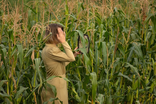 Modelo de beleza e moda entre altas plantas de milho verde em um campo rural mulher feliz com um sorriso