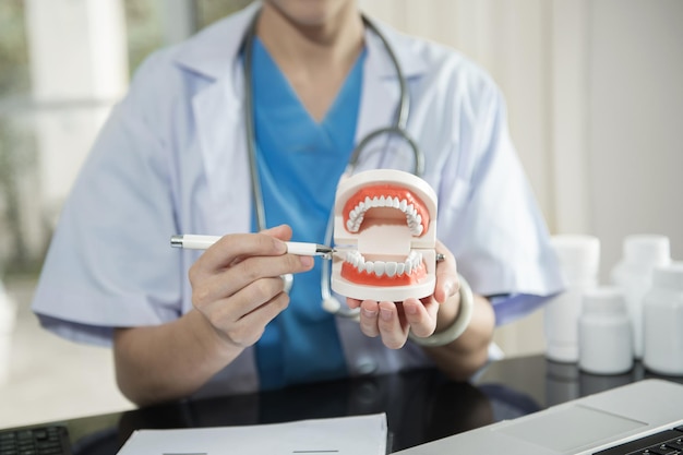 Modelo de dente de dentista trabalhando no escritório de manhã na odontologia de mesa e recomendar paciente no conceito de local de trabalho