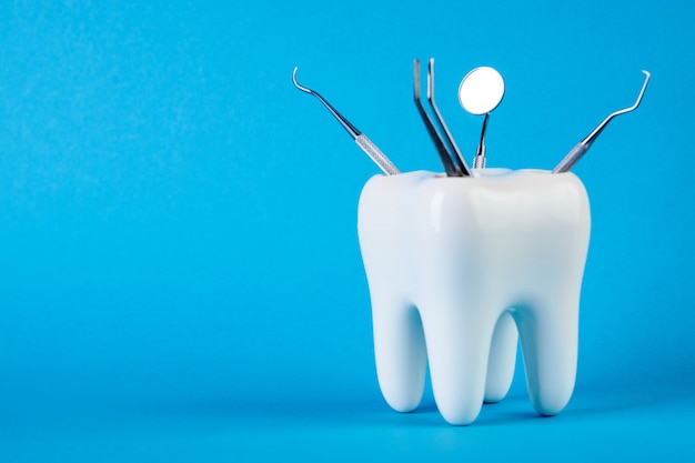 Modelo de dente dental com equipamento de metal para odontologia médica