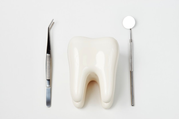 Modelo de dente dentário com ferramentas de equipamentos de odontologia para atendimento odontológico de dentes, isolado no fundo branco, com espaço de cópia, close-up. Conceito de higiene bucal