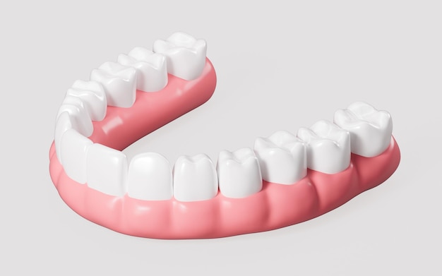 Modelo de dente humano dentes brancos mesmo dentes modelo 3D renderização