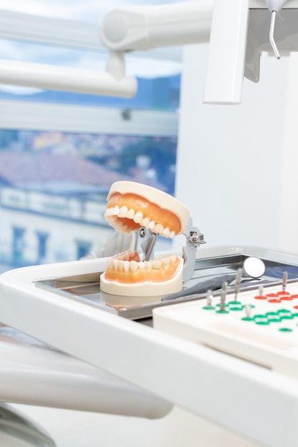 Modelo de dentes ao lado de instrumentos de clínica odontológica D