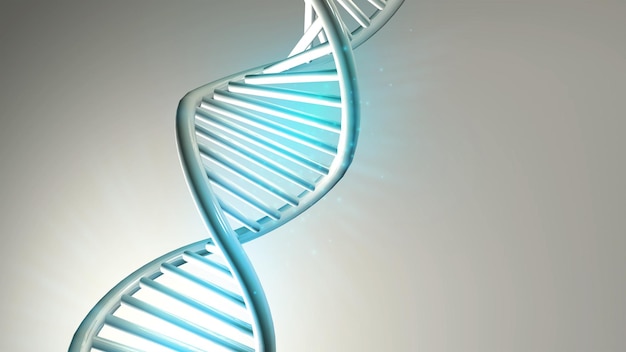 Modelo de dupla hélice de DNA em um fundo cinza claro d renderização