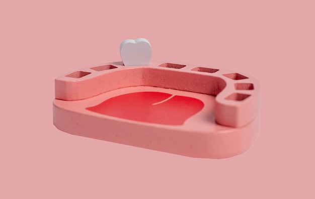 Modelo de mandíbula com dente de leite único conceito de dentes decíduos primários em fundo rosa jogo infantil no brinquedo de madeira do dentista