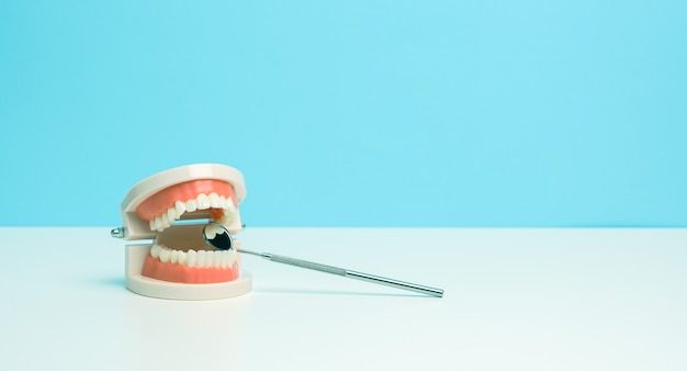 Modelo de plástico de mandíbula humana com dentes brancos e uniformes e um espelho de exame médico em uma mesa branca, copie o espaço