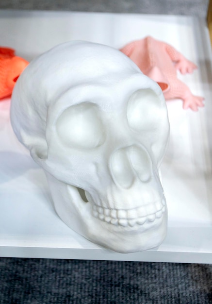 Foto modelo de protótipos de crânio humano impressos em impressora 3d de plástico