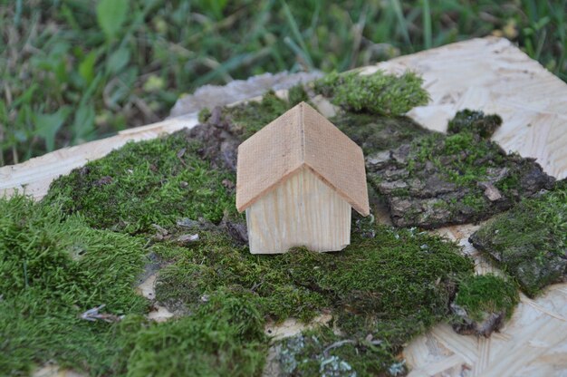 Modelo de uma casa de madeira como propriedade familiar