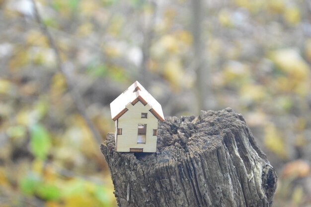 Modelo de uma pequena casa de madeira na floresta