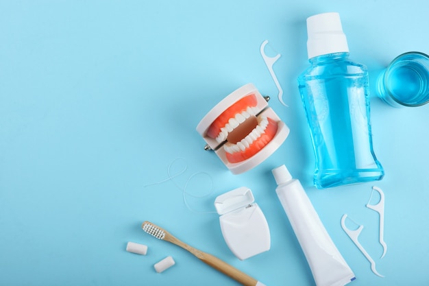 Modelo dental de dientes y productos para el cuidado dental sobre fondo de color