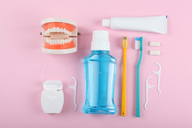 Modelo dentário de dentes e produtos para cuidados dentários em fundo colorido